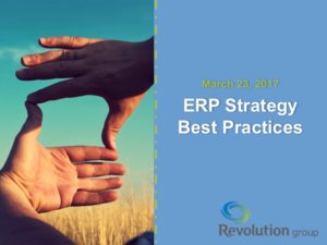 erpstrategybestpracticesstandard