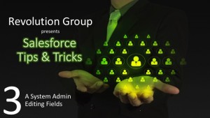 T & T 3 - A System Admin Editing Fields